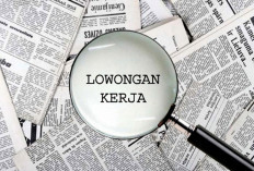 Ada 22 Lowongan BA dan PMO KDKMP Kaur, Berminat?