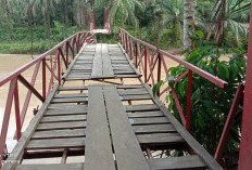 Jembatan Tanjung Aur II Rusak, Petani Sulit Keluarkan Hasil Pertanian