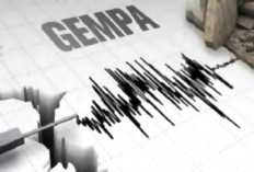 BMKG Catat 520 Gempa Terjadi di Bengkulu