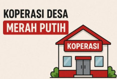 Soal KDMP, Kades di Seluma Mulai Resah  