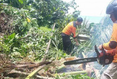 Jalan Pasar Bawah Tertutup Longsor, Pengunjung Diarahkan Jalur Alternatif