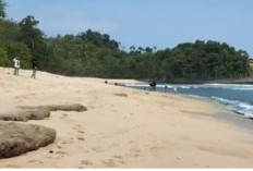 Keindahan Pantai Ngudel, Pantai Ikonik Di Malang Jawa Timur, Cocok Tempat Bersantai Bersama Keluarga