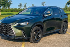 Lexus NX 2026, Pilihan Utama di Segmen SUV Mewah, Ukuran Sedang, Desain Menarik