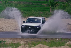 Mitsubishi Triton Terbaru, Tangguh Di Lumpur Gagah di Aspal, Cocok Untuk Kendaraan Komersil Maupun Perkotaan