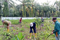 Jelang Idul Adha, Desa Talang Padang Goro Kebersihan TPU