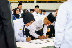 Pemprov Bengkulu Siapkan Skema Relokasi Guru PPPK untuk Pemerataan Tenaga Pengajar