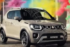 Suzuki Ignis Terbaru, SUV Kecil dan Efisien, Diprediksi Rilis Awal 2025, Ini Penampakannya