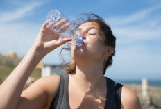 5 Minuman Sehat Paling Baik Diminum Setelah Berolahraga, Salah Satunya Air Kelapa