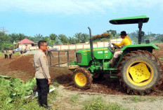 Tingkatkan Ketahanan Pangan, Polres Bengkulu Selatan Garap Lahan 2 Hektar