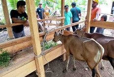 BPD Mekar Sari Laporkan Pengelolaan APBDes Tahun 2025 ke Kejari Seluma