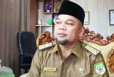 Bengkulu Kembangkan Kawasan Kebun Tanaman Buah dan Obat