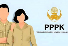 Optimis Perekrutan PPPK Guru Di Bengkulu Selatan Akan Dilaksanakan