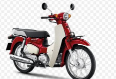 Honda Super Cub 2024, Motor Bergaya Klasik Nan Menawann, Sempurna Untuk Kendaraan Kota