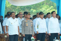 Produktivitas Jagung Bengkulu Lampaui Rata-Rata Nasional