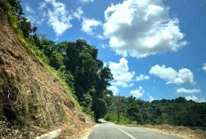 Pengendara Diimbau Waspada Melintas di Jalan Rawan Longsor Saat Musim Hujan