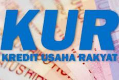 Penyaluran KUR di Provinsi Bengkulu Tembus Rp1,95 Triliun
