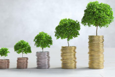 Apa Itu Skema Ponzi? Kenali Ciri-ciri dan Cara Menghindari Penipuan Investasi