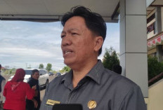 Diskominfo Kaur Bakal Surati OPD untuk Aktifkan Media Sosial