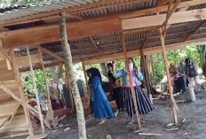 Terbitkan Izin Warung Kopi, Kades Dilaporkan ke Bupati