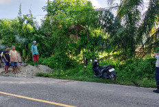 Jeroan Sapi Berserakan di Pinggir Jalan, Curnak?