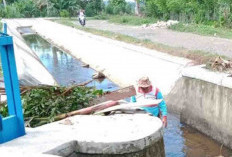 Anggaran Irigasi “Dikeringkan”, Ketahanan Pangan Bengkulu Selatan Terancam