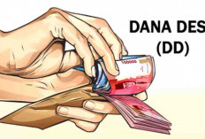 34 Desa Di Seluma Sudah Terima Kucuran DD Tahap I