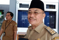 Ribuan Hewan Ternak di Bengkulu Terpapar Penyalit Ngorok