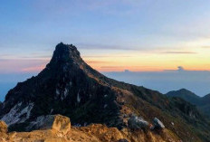 7 Rekomendasi Gunung Bagi Pendaki Pemula di Indonesia, Jalurnya Lebih Ringan, Pemandangan Tetap Indah