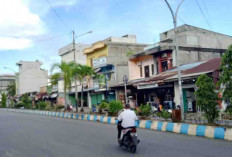Pengusaha Walet Tak Jujur, Capaian PAD Rendah