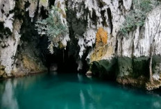 Gua Keramat Pulau Misool, Pesona Objek Wisata Religi di Raja Ampat