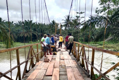 Wabup Bengkulu Selatan Pantau Goro Perbaikan Jembatan Gantung