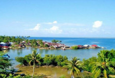 Pulau Tamang Batahan, Keindahan Hutan Mangrove dan Pemandangan Bawah Laut