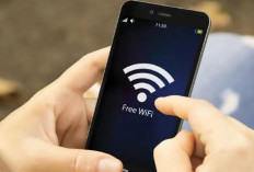 Pemkab Bengkulu Selatan Segera Launching Wifi Gratis