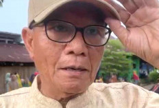 Dirwan Mahmud Bulatkan Tekad Dukung Suryatati-Ii, Ini Alasannya!