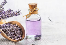 5 Manfaat Meletakkan Bunga Lavender di Kamar Tidur