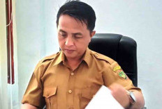 Kejar Setoran Pajak Sarang Walet, Petugas Dispenda Turun Kelapangan