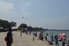 Pesona Pantai Delegan, Hamaparn Pasir Putih Mempesona di Gresik