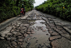  Warga Tanjung Aur Swadaya Perbaiki Jalan Km 7-8