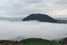 Keindahan Panorama Alam dan Spot Paralayang Gunung Embun Lampung