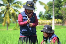 Penyuluh Pertanian Diingatkan Terus Beri Edukasi Petani