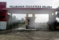 Pelabuhan Perikanan Pasar Seluma Mangkrak, DKP Surati Gubernur Bengkulu