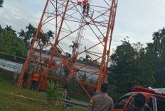 BREAKING NEWS : Remaja di Bengkulu Selatan Panjat Tower TVRI 74 Meter, Tim Penyelamat Turun Tangan