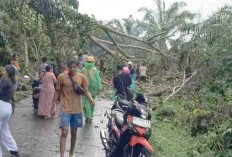 Rawan Bencana Saat Cuaca Ekstrim, Warga Diminta Waspada  