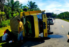 Hindari Motor, Truk Bermuatan Barang Pecah Belah Terbalik Di Kaur