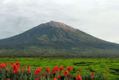 5 Taman Nasional Terluas di Indonesia, Pemandangan Alamnya Mempesona, Salah Satunya di Sumatera