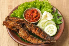 HarusTahu, Ikan Lele Bisa Jadi Makanan Sumber Protein Tinggi untuk Cegah Stunting 