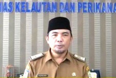 Anggarkan Rp7 Miliar Untuk Kelanjutan PPN