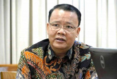 Penghapusan Honorer Harus Lihat Kemampuan Keuangan Negara