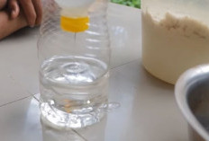 Cara Membuat Minyak Kelapa Murni Tanpa Dimasak, Dan Khasiatnya Untuk Kesehatan