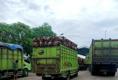 PSU, Pabrik Kelapa Sawit Bengkulu Selatan Libur Dua Hari